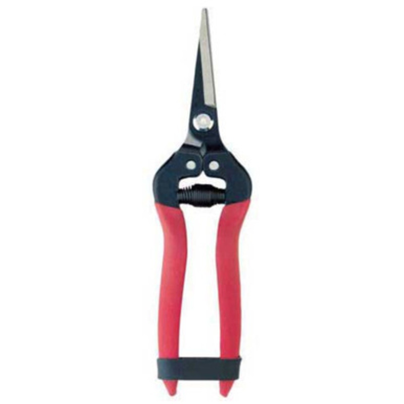 AG4930 Corona Snips
