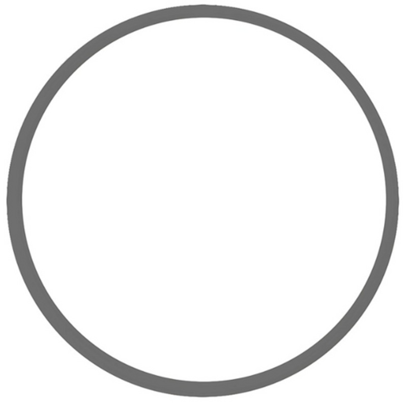 O Ring t/s RWB1892-94 Strainer