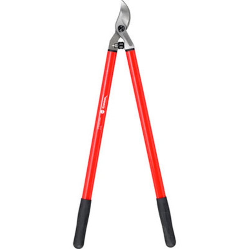 SL4150  29 Corona Economy  Loppers