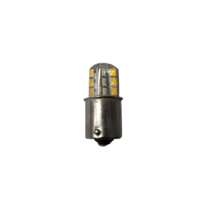 Bulb LED 12v and 24v