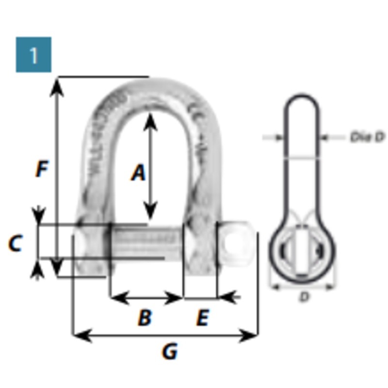 D Shackle Captive Pin 5mm