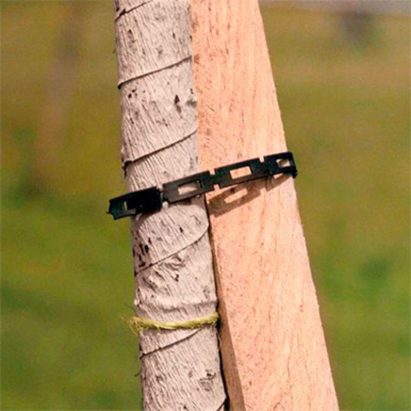 Pro Lock 1/2in Chain-Lock Tree Tie 100ft