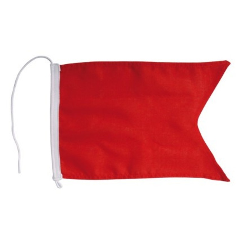 Flag Code Bravo Protest – 28x20cm