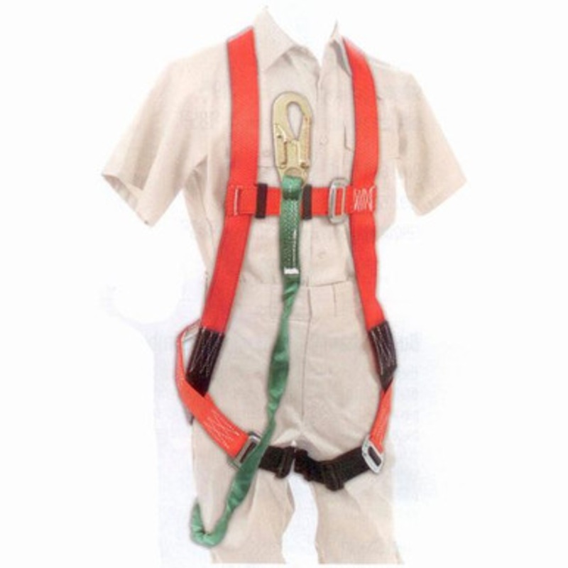 Buckingham Full Body Harness System