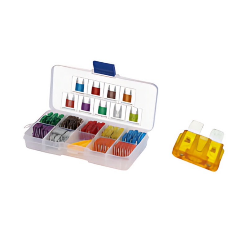 Fuses Assorted Box of 100