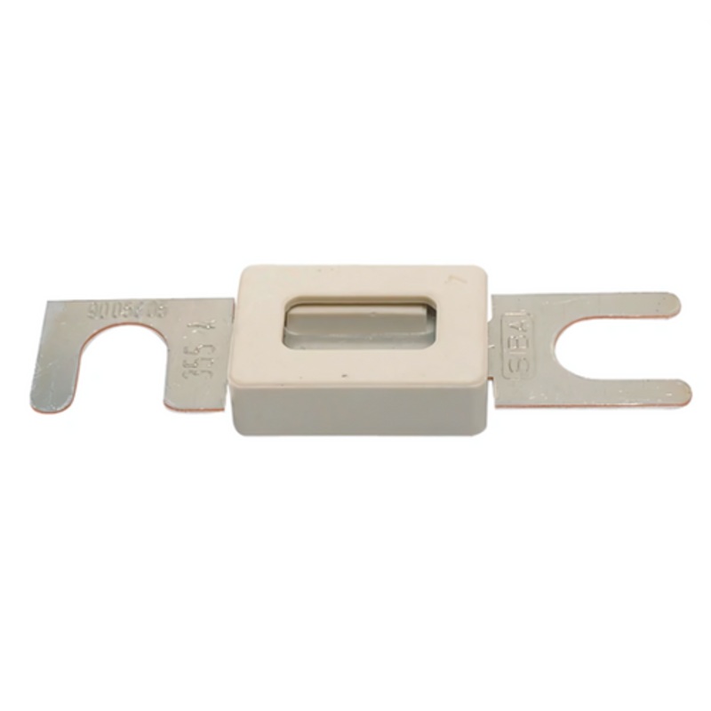 Fuse ANL 100amp