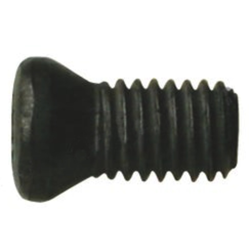 Walter Torx Screw, FS2118