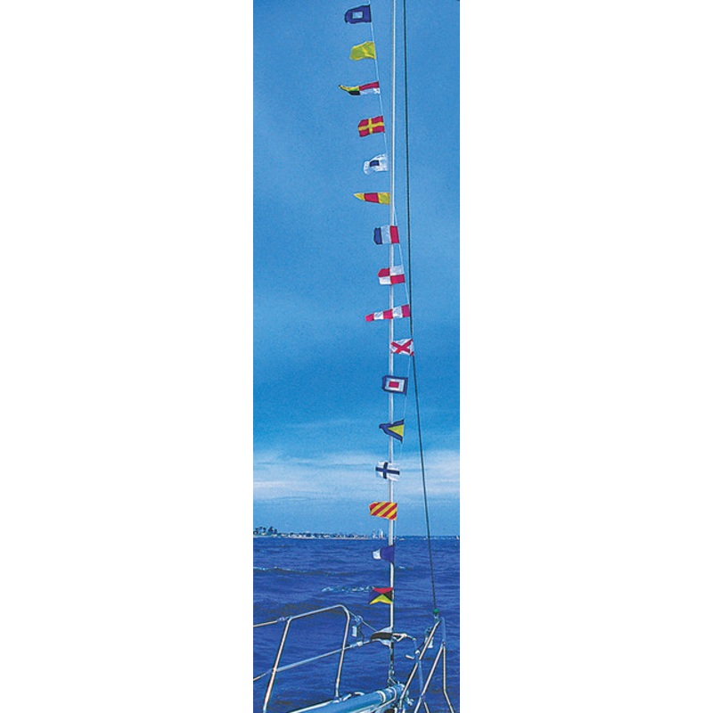 Code Flags String of Pennants